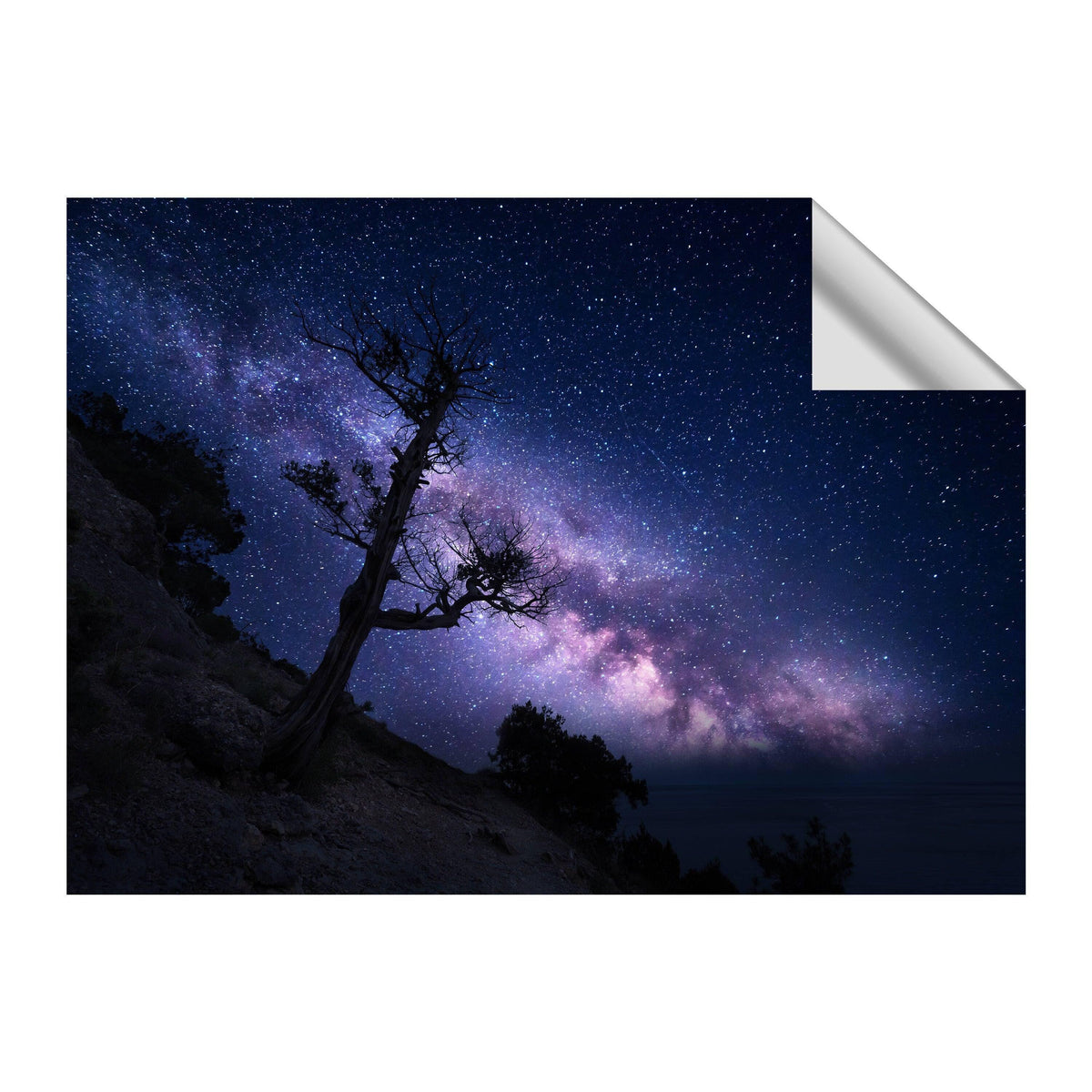 Stunning galaxy wall art featuring a tree silhouette against a star-filled night sky.