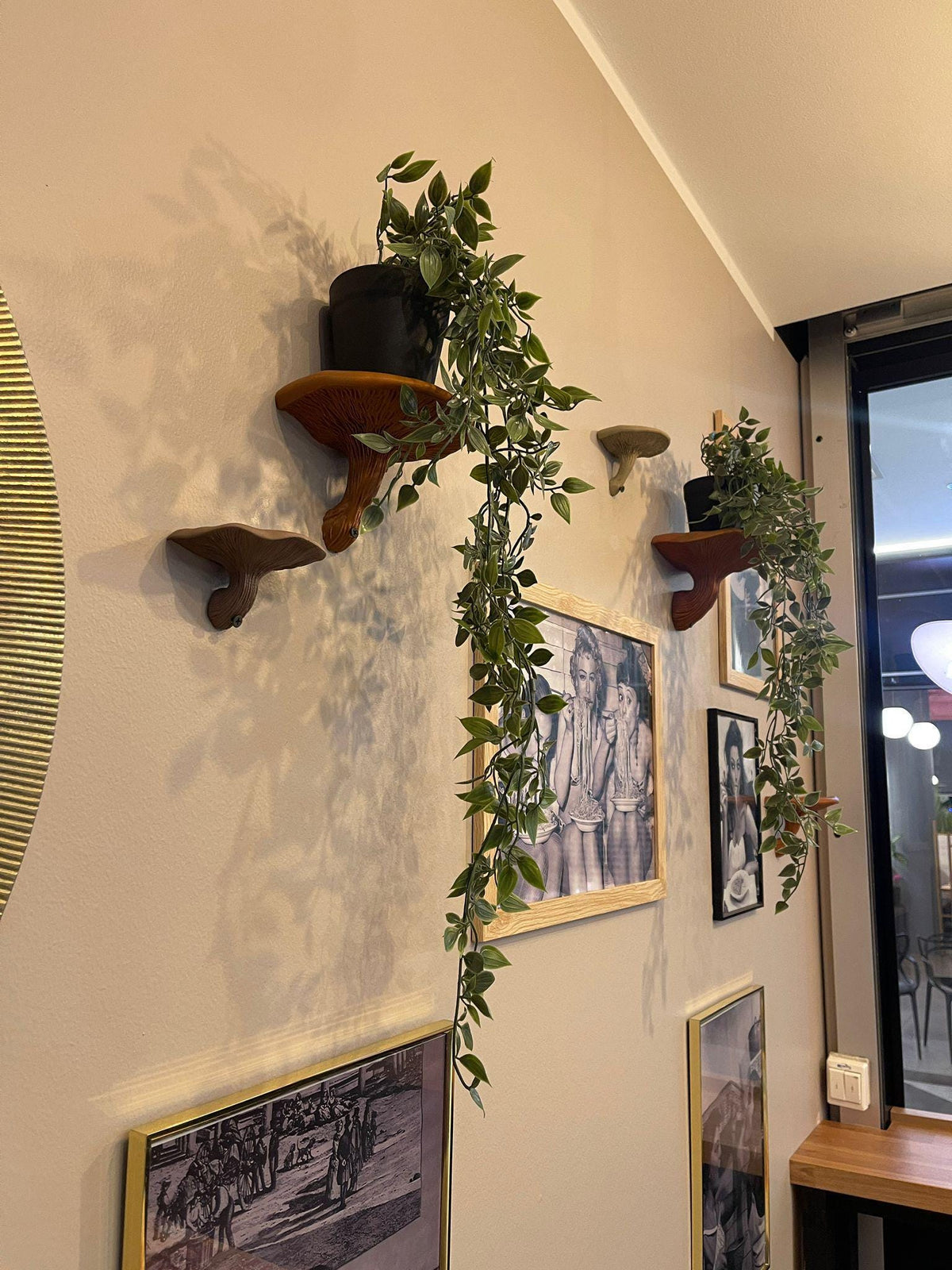 3D printed shelf fungus wall shelf with layered gill texture and a curved display ledge