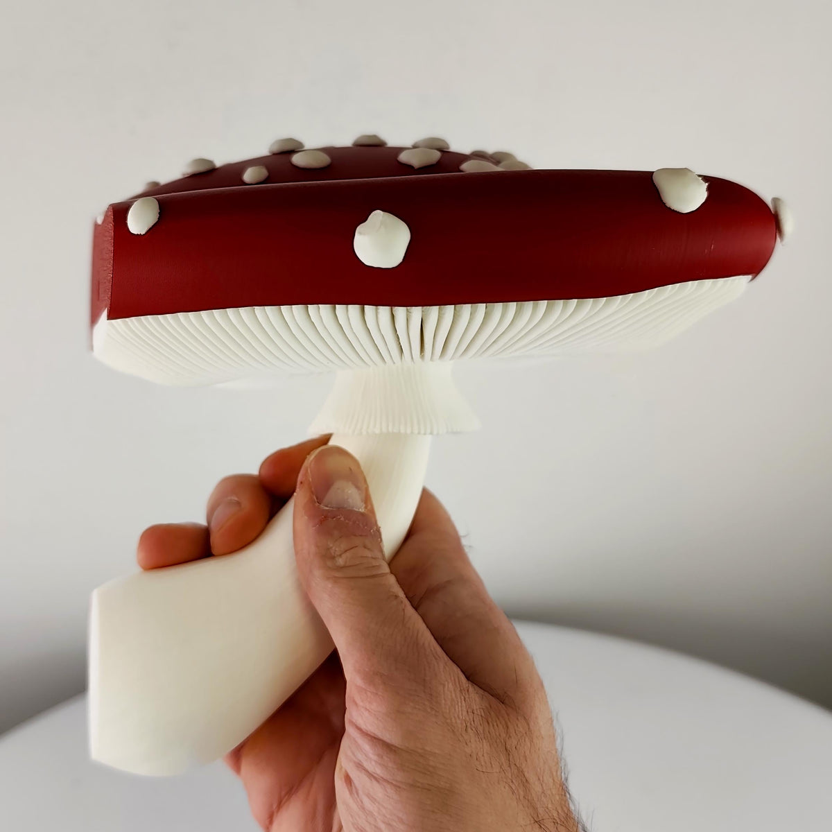 Toadstool Wall Shelf featuring flat spotted cap and sculpted gills