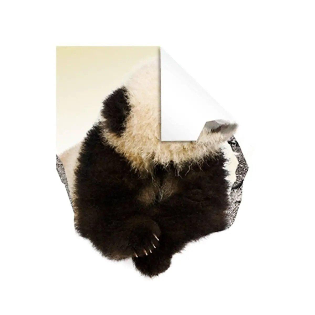 3D Wildlife Porthole Wall Decal featuring a cute panda design.