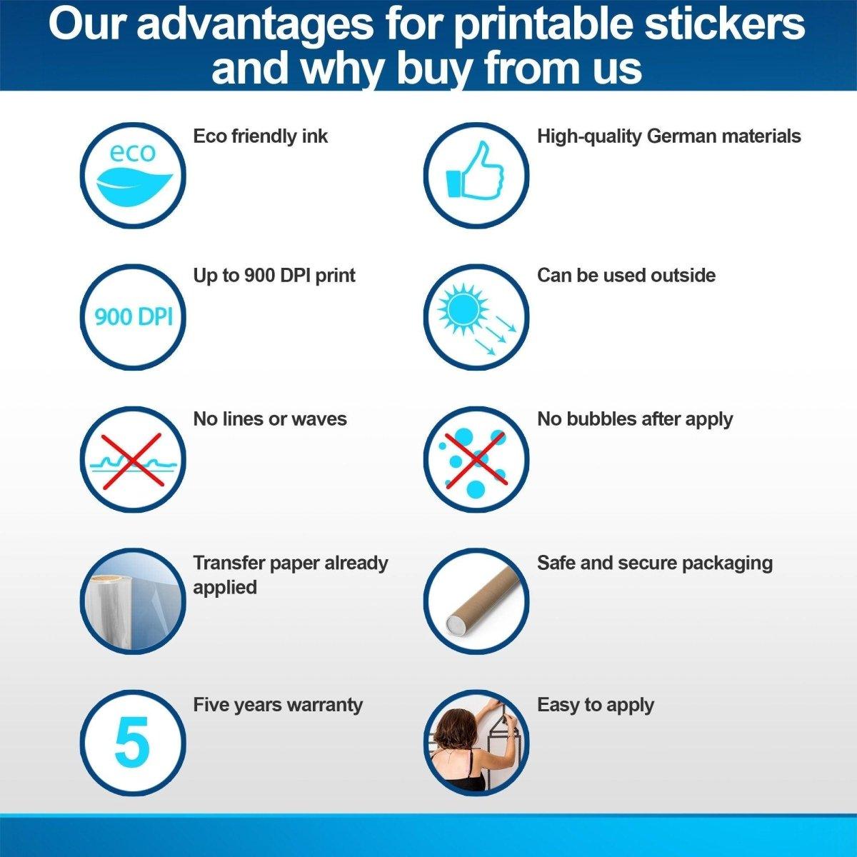 Product comparison graphic for Dj Giraffe Vinyl Decal.