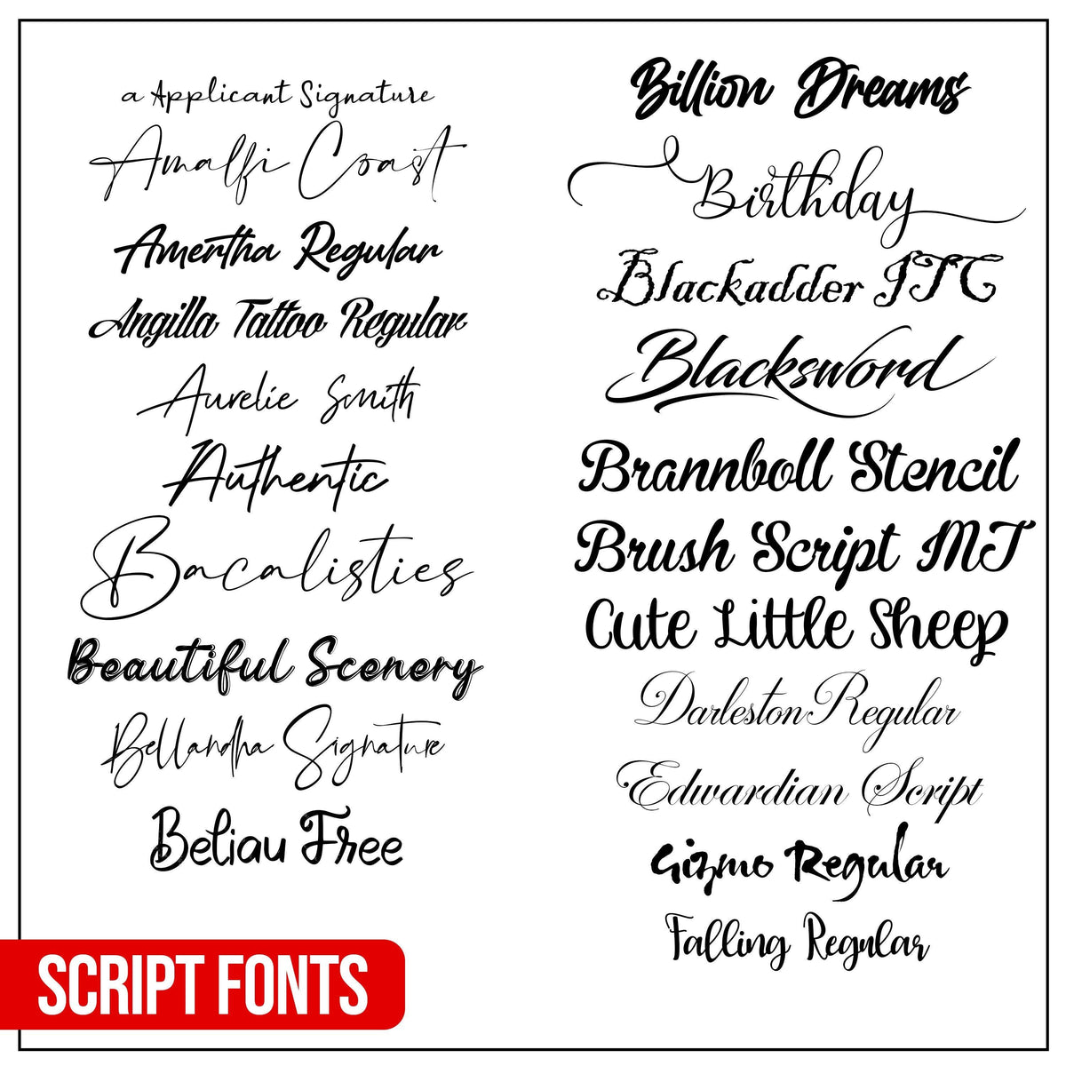 Collection of beautiful script fonts including names and styles for creative projects.