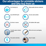 Generic vinyl sticker product comparison infographic.