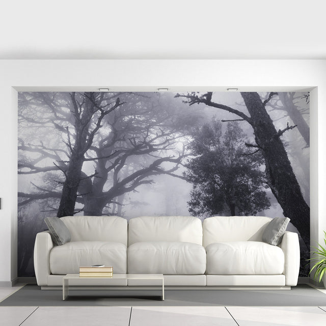 A dramatic misty forest wallpaper mural covering a living room wall with tall fog-covered trees.