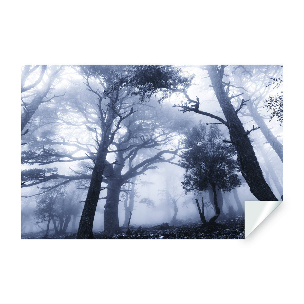 Foggy Forest Decal Wallpaper - Fog Tree Removable Wall Paper Sticker Mural Art
