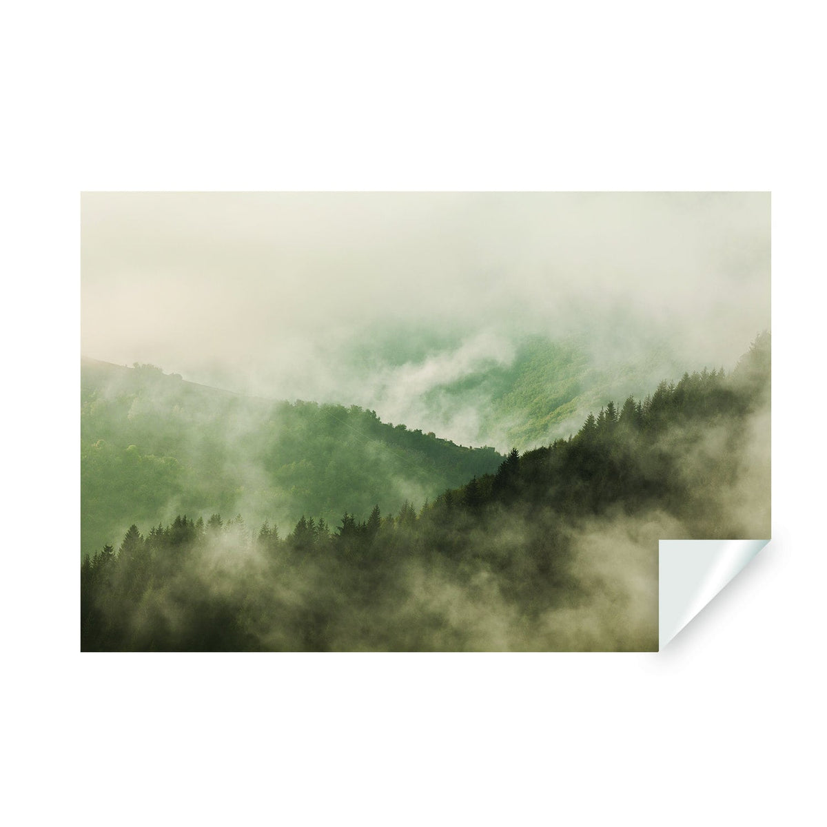 Foggy Forest Wallpaper Sticker Mural - Mountain Tree Fog Removable Wall Paper Art Decal.