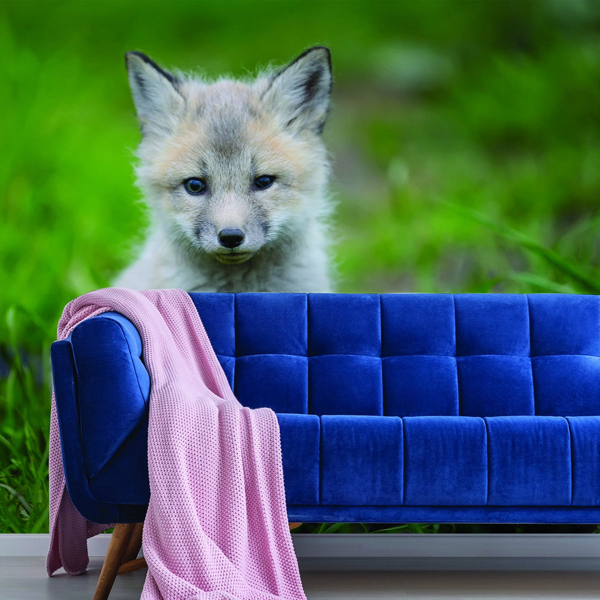 Product presentation view of Cute Little Fox Wallpaper Decor Decal.