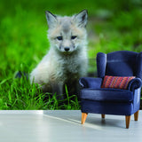 Alternate gallery view of Cute Little Fox Wallpaper Decor Decal.