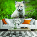 Additional product view of Cute Little Fox Wallpaper Decor Decal.