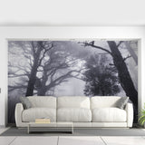Product detail view of Foggy Forest Wallpaper Decal.