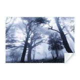 Foggy Forest Wallpaper Decal - Landscape Tree Wall Paper Mural Self Peel And Stick Sticker.