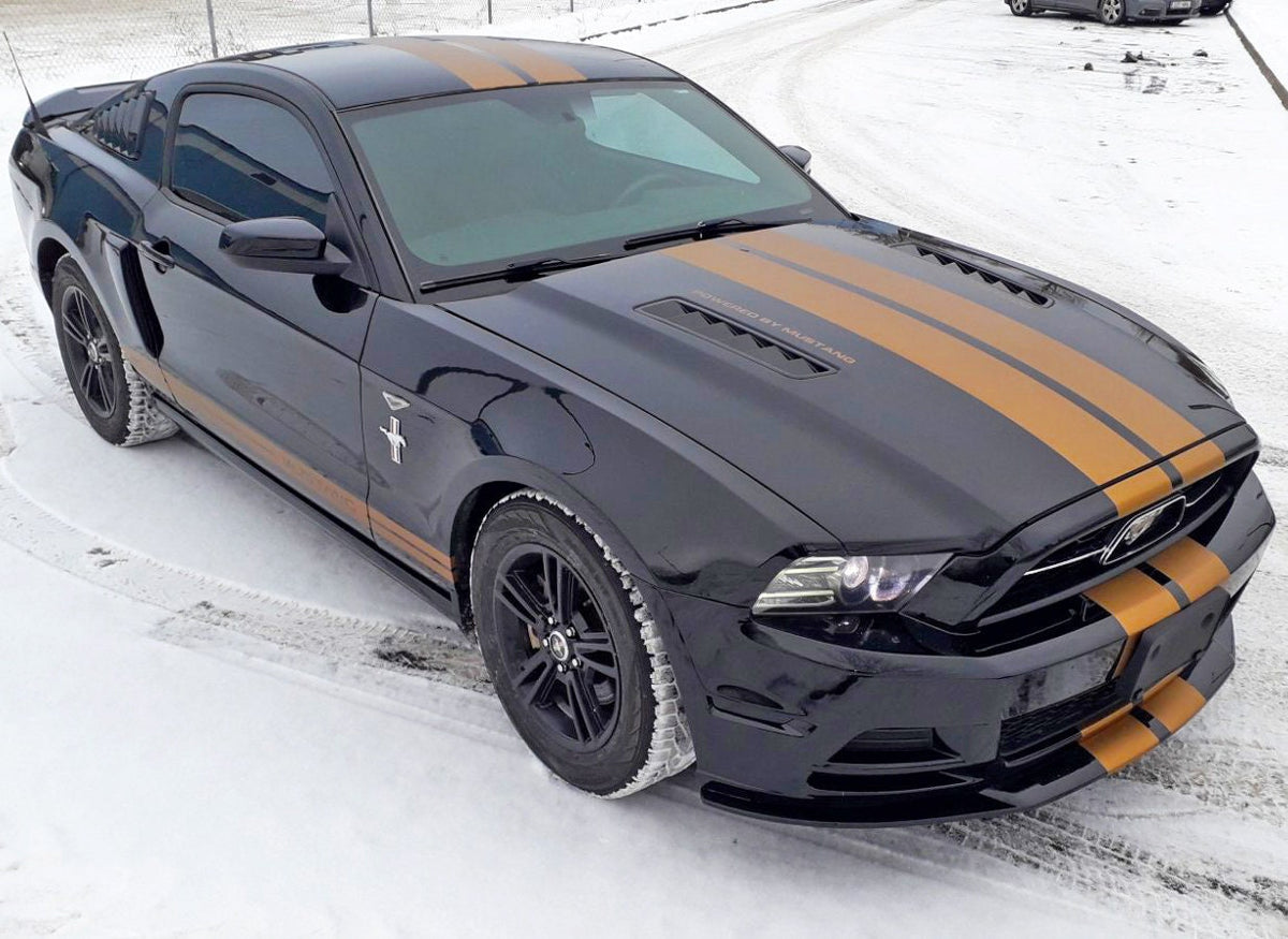 Alternate product view of Two Lines Racing Stripes Car Stickers.