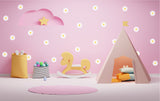 Product presentation view of White Daisy Flowers Wall Decals.