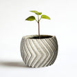 3D printed modern zig zag planter cover with a small green plant, enhancing minimalist indoor decor.