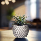 Modern zig zag planter cover with air plant in a stylish indoor setting, enhancing home decor.