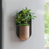 Product presentation view of Modern Wall Planter.