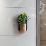 Product gallery view of Modern Wall Planter.