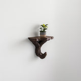 Black Branch Wall Shelf featuring branching tree supports, mounted as a floating ledge for a small plant