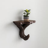 3D printed black branch wall shelf with branching tree supports, mounted as a floating ledge for a small plant