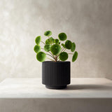 Ribbed Black Planter featuring vertical ribbed grooves