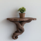 A brown 3D printed floating wall shelf designed to look like twisted tree roots, with a small potted plant placed on top.
