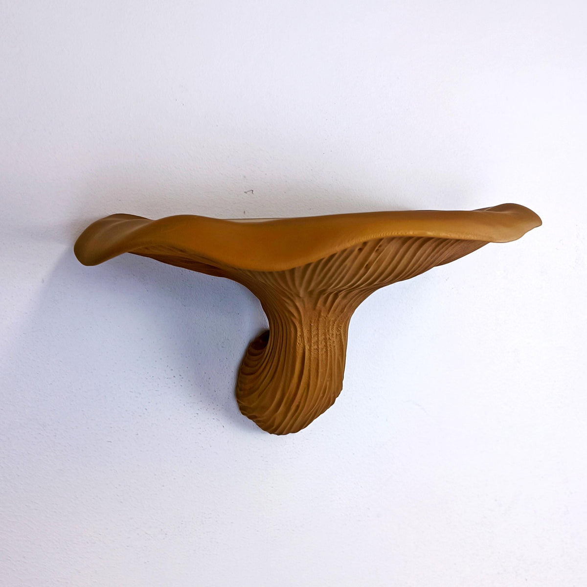 Product detail view of 3D Printed Fungi Wall Shelf.