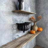 Witch Cauldron Wall Shelf featuring wavy rim and matte PLA texture