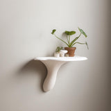 3D Printed Minimalist Mushroom Wall Shelf shown in the product image.