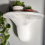 3D printed layered mushroom wall shelf with ribbed underside and curved ledge