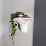 Product detail view of 3D Printed Layered Mushroom Wall Shelf.