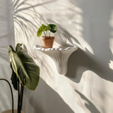 3D printed artist's conk wall shelf with small terracotta planter