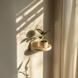 3D printed Curved Round Wall Shelf with curved frame holding a small potted plant