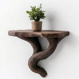 Small brown wall-mounted shelf with a twisted vine-like base holding a potted plant.