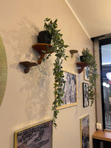 3D printed gilled fungi wall shelf with curved mushroom cap and detailed gill texture beneath the ledge