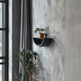 3D printed Half Circle Wall Shelf with curved frame and small plant display