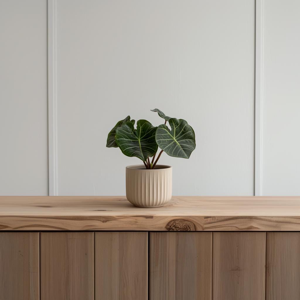 Ribbed Indoor Planter featuring vertical ribbed grooves