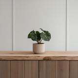 Ribbed Indoor Planter featuring vertical ribbed grooves