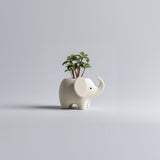 3D printed Elephant Planter with open top used as a small pot, standing on a neutral background