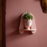 Decorative face wall shelf with a rounded arch and integrated plant pot
