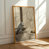 African Grey Parrot Reading in Bed illustration for a japanese zen ink wash paper poster