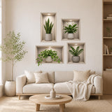 Printed wall niche illusion with four wood framed alcoves and potted green plants