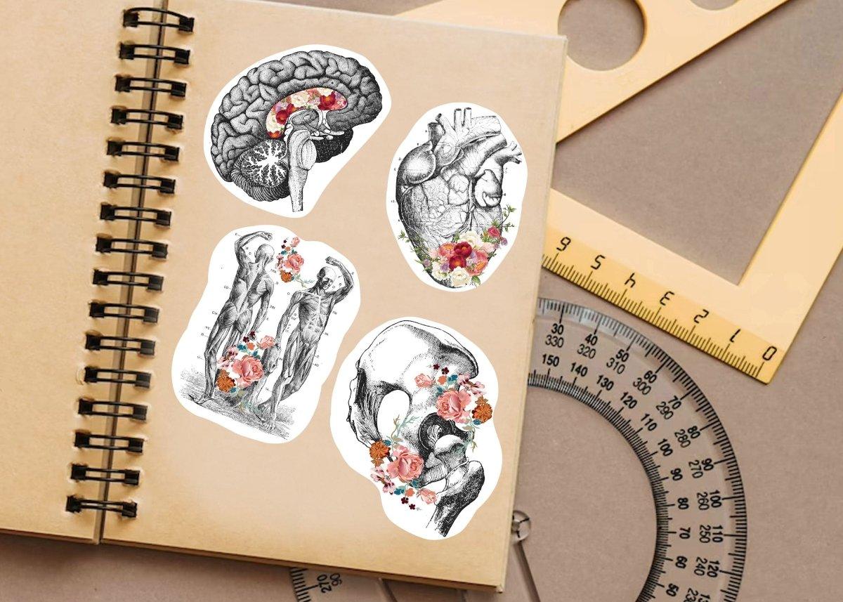 Anatomy-themed vinyl decals on a notebook, showcasing brain, heart, and human figure illustrations with floral accents.