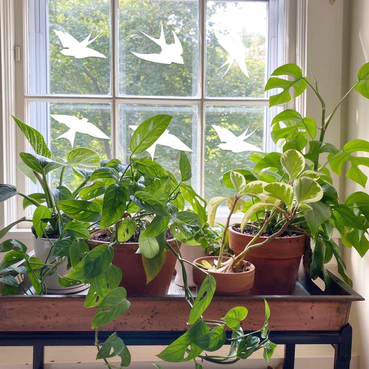 Window with bird silhouette decals and potted plants, enhancing aesthetics and bird safety.