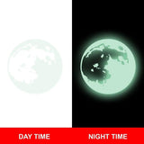 Glow in the dark moon illustration showing day and night versions for celestial wall decor.