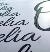 Personalized carbon fiber letter stickers featuring a stylish monogram design on a white background.