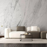Stylish living room with marble-pattern adhesive wallpaper and modern furniture, creating an elegant ambiance.