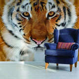Stylish tiger wall decal with a navy blue chair, adding exotic elegance to living space decor.