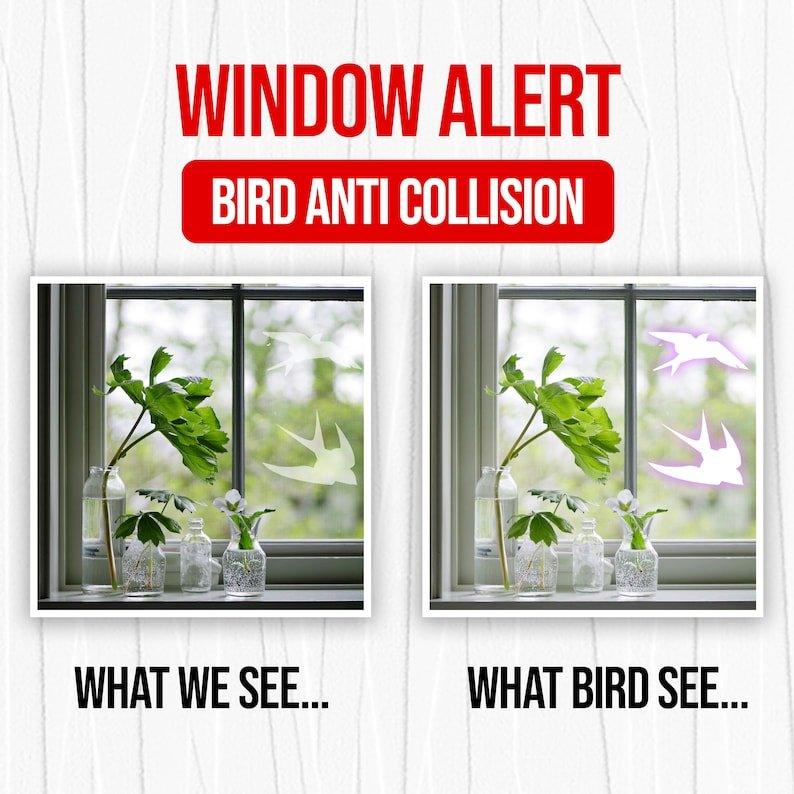 Window alert showing bird anti-collision decals, highlighting how they protect birds from striking windows.