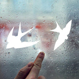 Person pointing at FeatherGuard anti-collision bird decals on a rain-speckled window.