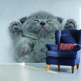 Cute gray kitten wall sticker design featuring an adorable sleeping cat.